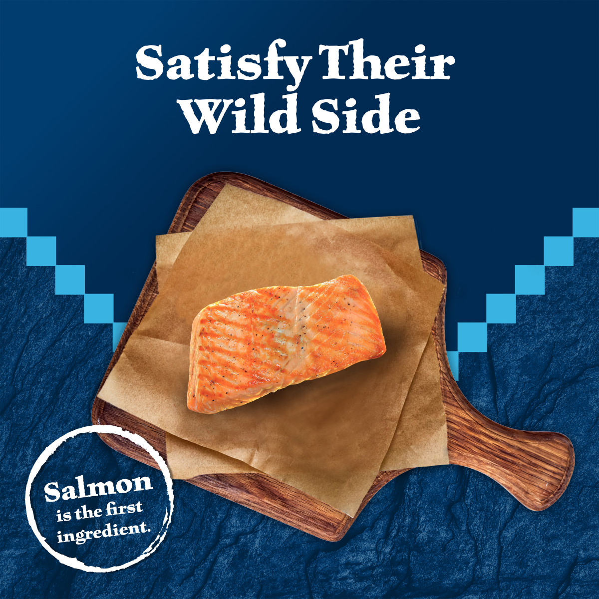 slide 4 of 8, BLUE BUFFALO Wilderness Grain Free Crunchy Cat Treats, Salmon, 2 oz