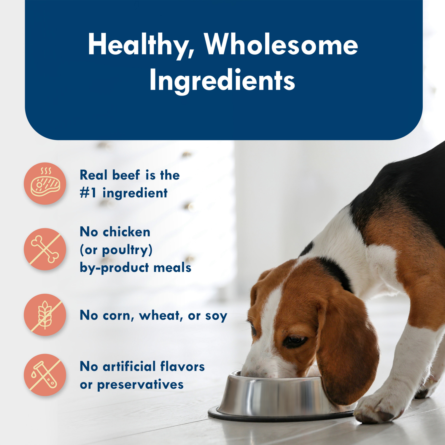 slide 2 of 8, Blue Buffalo Blue Delights Small Breed Pate Grain Free Filet Mignon Flavor Food for Dogs 3.5 oz, 3.5 oz