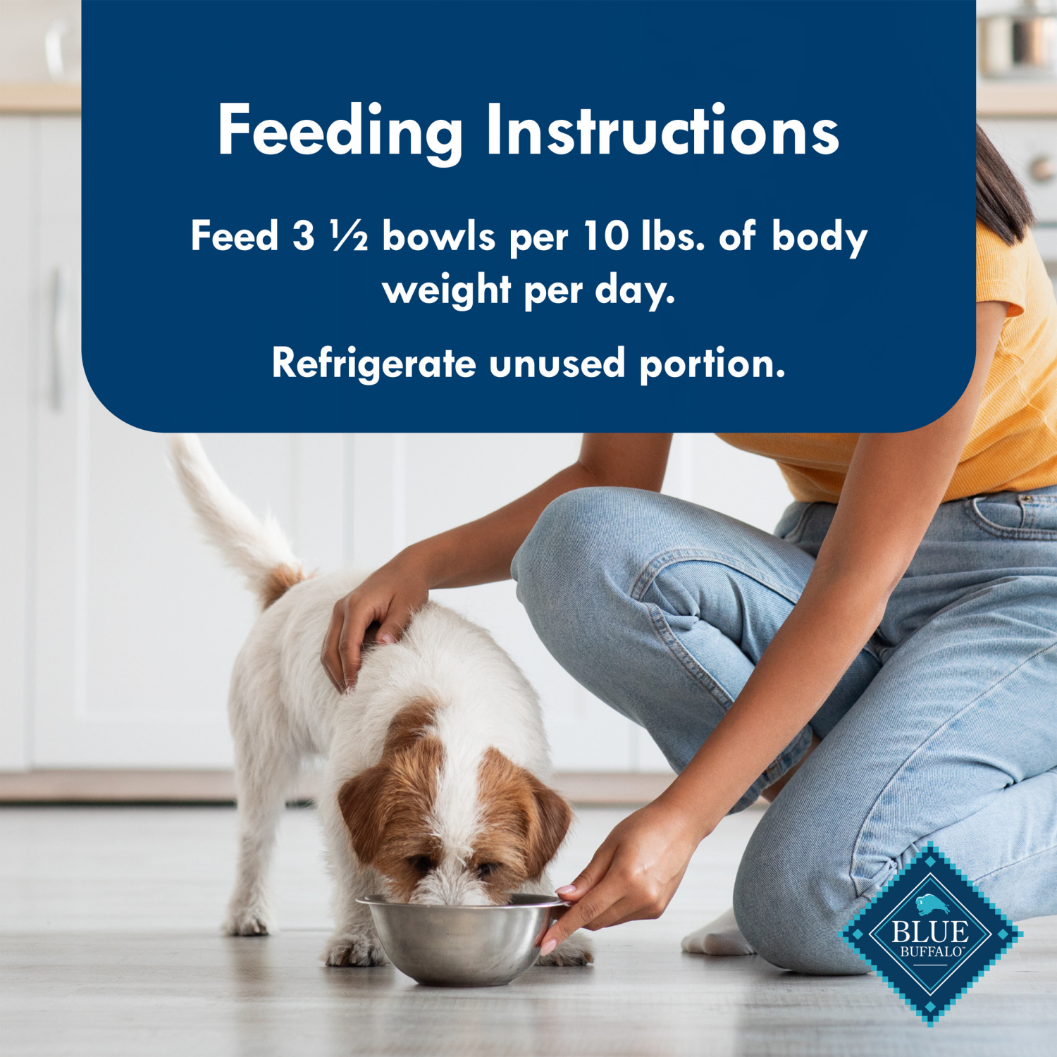 slide 3 of 8, Blue Buffalo Blue Delights Small Breed Pate Grain Free Filet Mignon Flavor Food for Dogs 3.5 oz, 3.5 oz