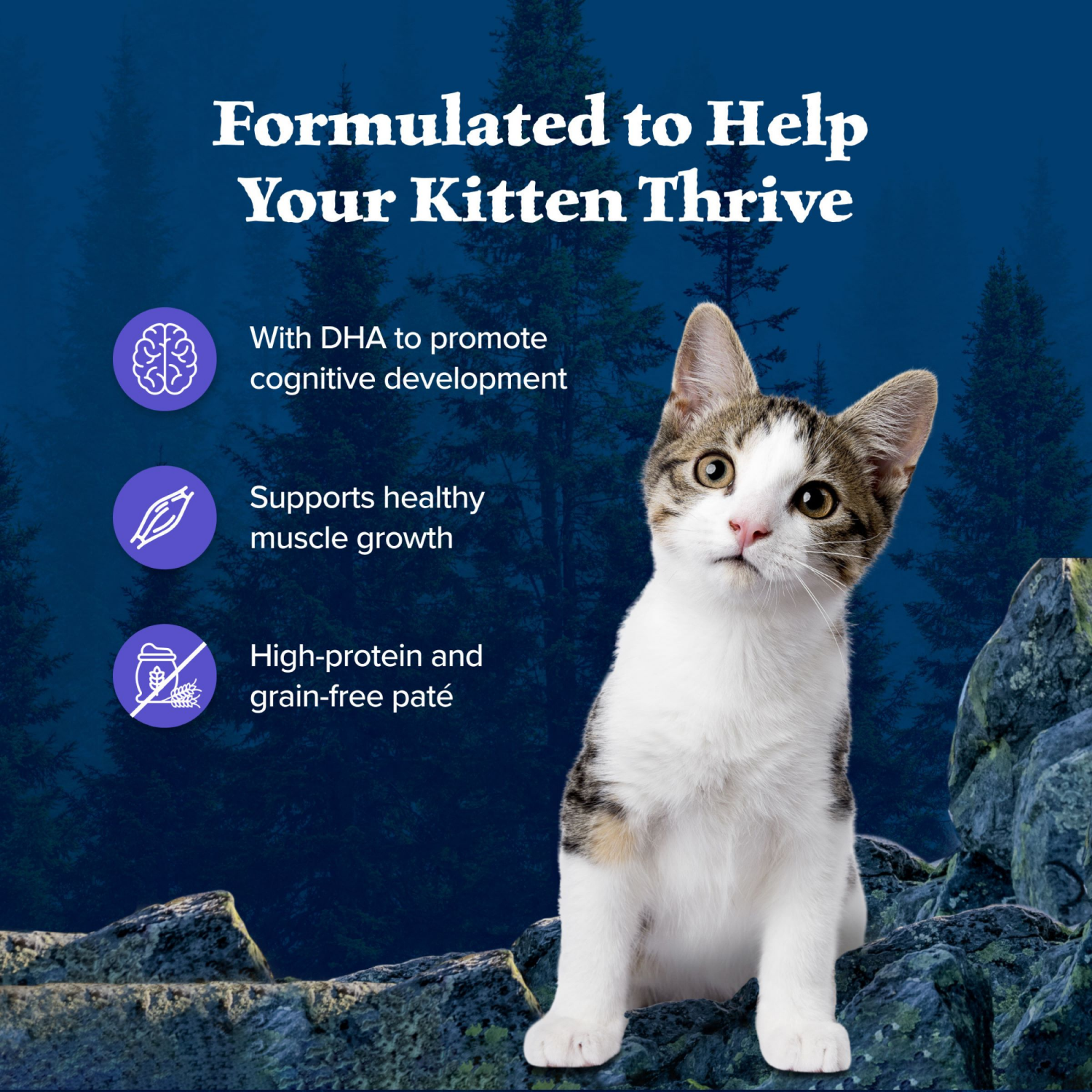 slide 4 of 8, Blue Wilderness Pate Wet Kitten Food Variety Pack, 6 ct; 3 oz