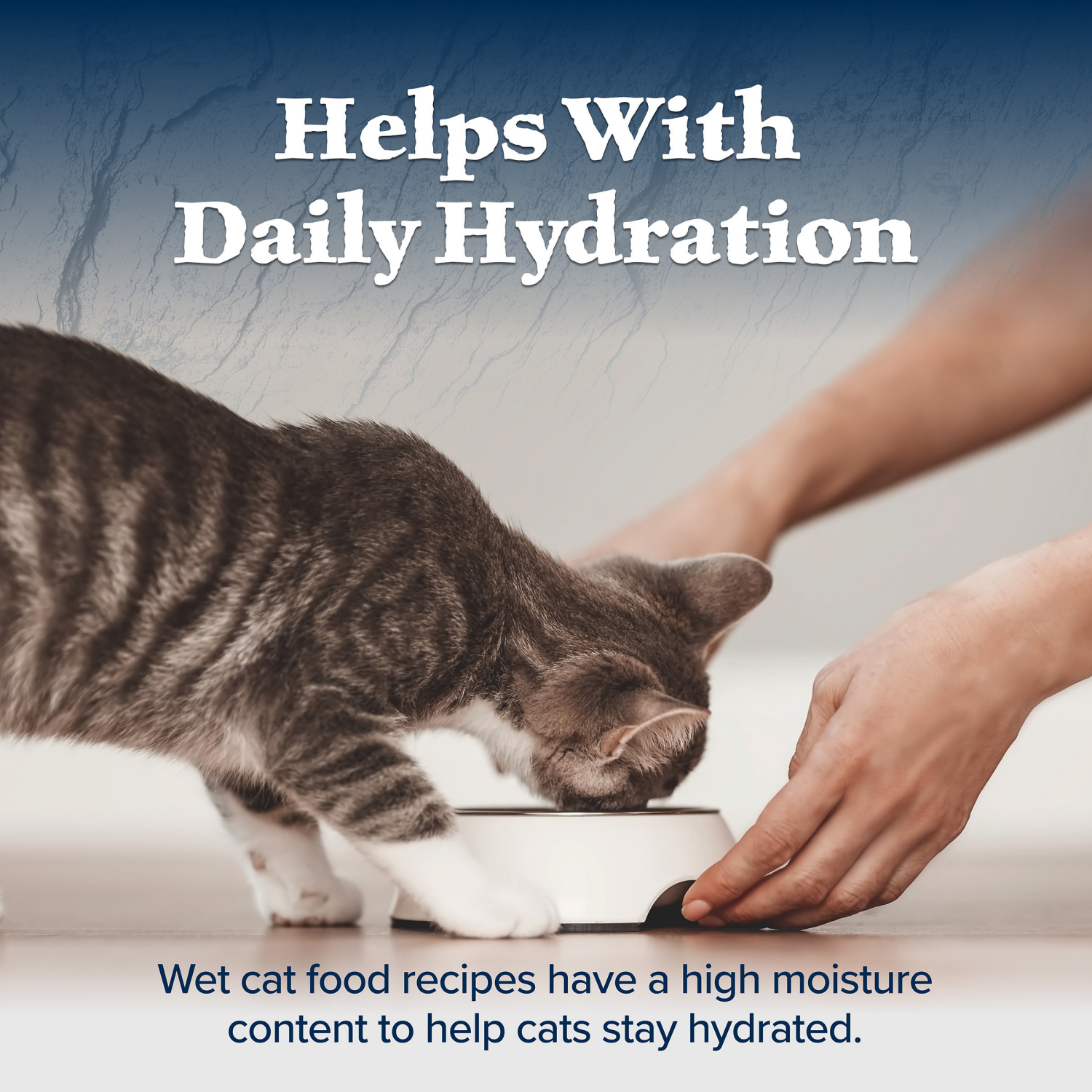 slide 5 of 8, Blue Wilderness Pate Wet Kitten Food Variety Pack, 6 ct; 3 oz