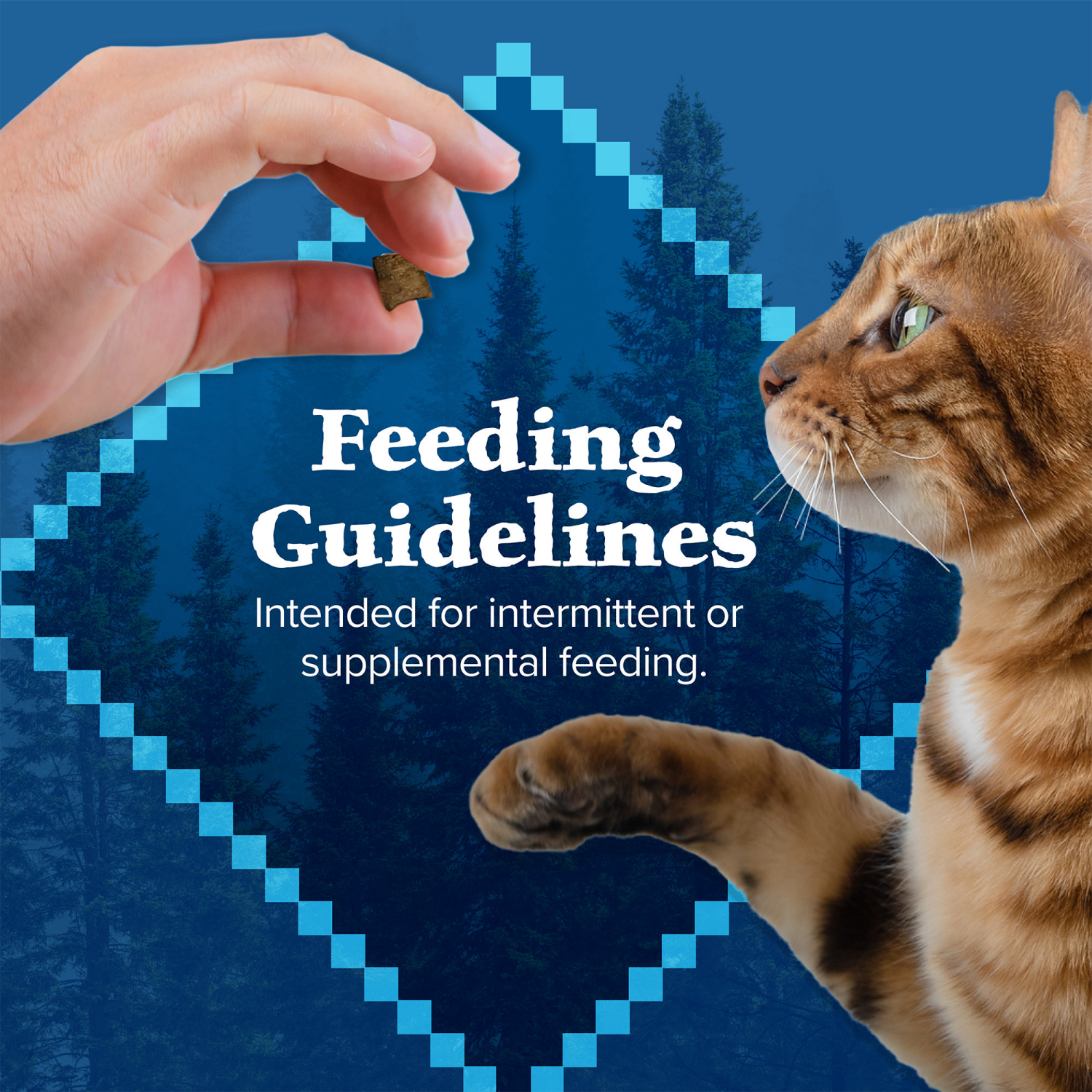 slide 3 of 8, Blue Buffalo Wilderness Grain Free Crunchy Cat Treats, Chicken Tub, 12 oz