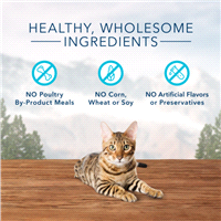 slide 5 of 17, Blue Wilderness Cat Treats, Chicken Flavor, 12 Ounce Fresh Pack, 12 oz