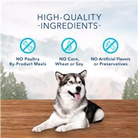 slide 3 of 17, BLUE Training Treats 10 oz, 10 oz