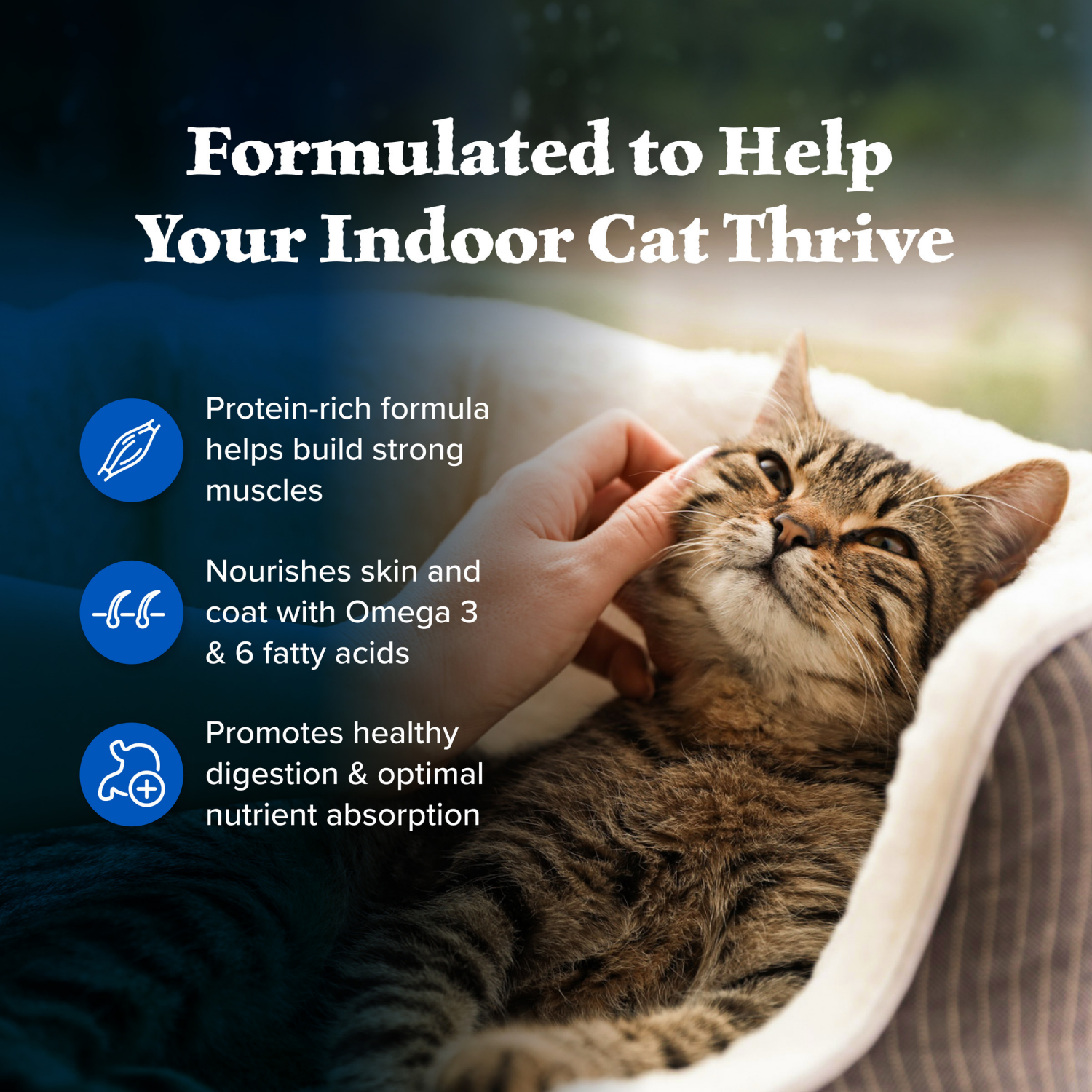 slide 4 of 8, Blue Buffalo Wilderness Nature's Evolutionary Diet High-Protein, Grain-Free Natural Dry Food for Adult Cats, Chicken, 4-lb. Bag, 4 lb