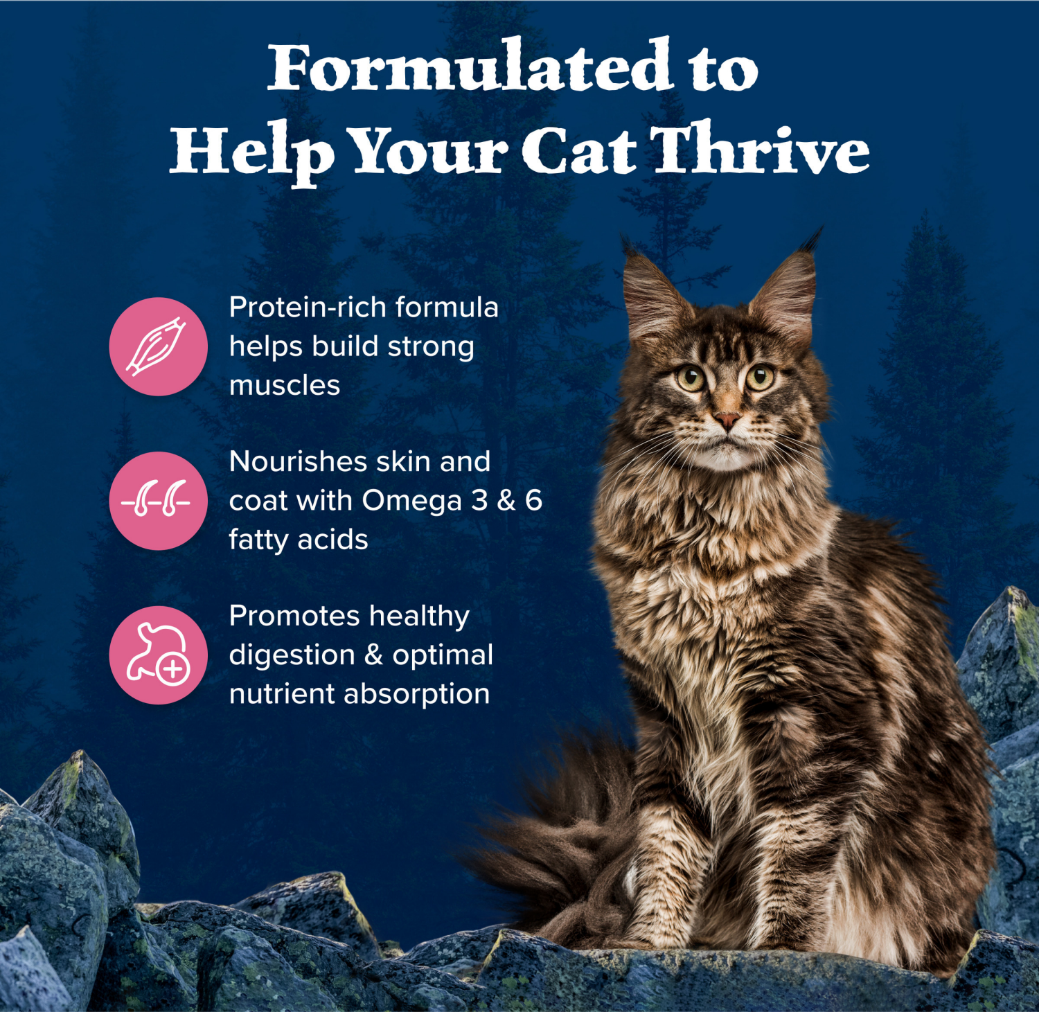 slide 4 of 8, Blue Buffalo Blue Wilderness Adult Nature''s Evolutionary Diet with Salmon Food for Cats 4 lb, 4 lb