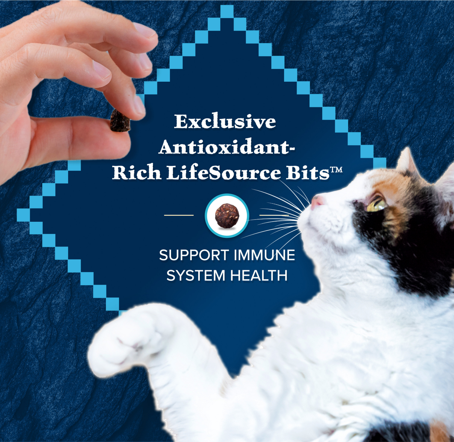 slide 5 of 8, Blue Buffalo Blue Wilderness Adult Nature''s Evolutionary Diet with Salmon Food for Cats 4 lb, 4 lb