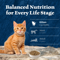 slide 13 of 29, Blue Buffalo Blue Wilderness High-Protein Kitten with Chicken Food for Cats 4 lb, 4 lb