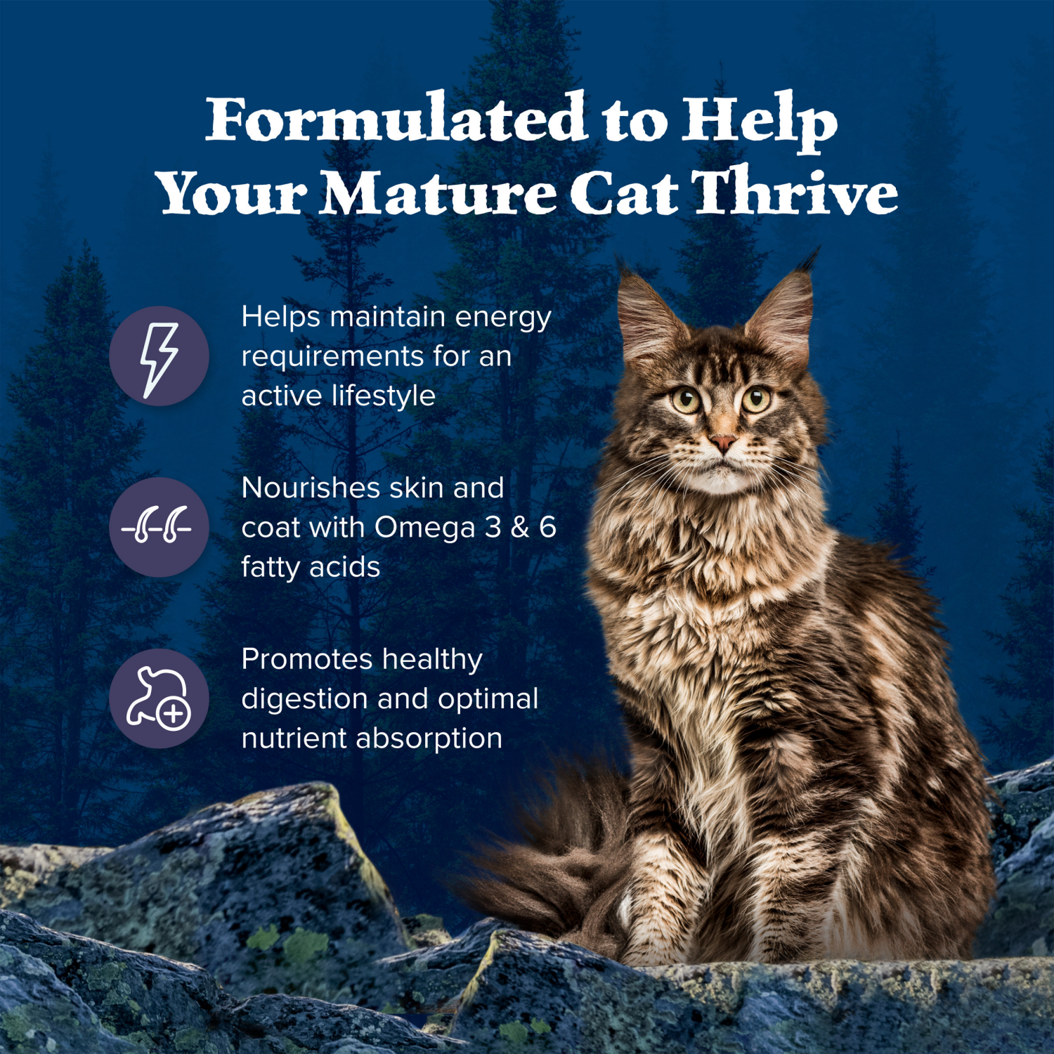 slide 4 of 8, Blue Wilderness Natures Evolutionary Diet Chicken Mature Dry Cat Food, 4 lb
