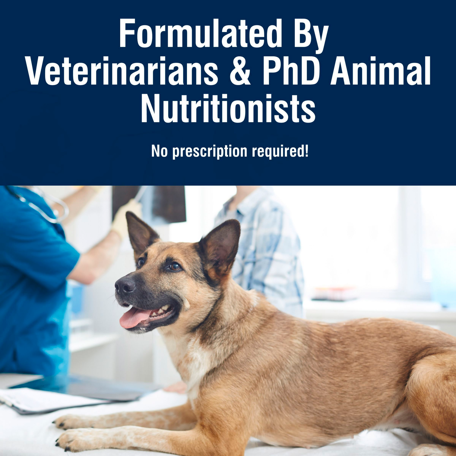 slide 3 of 8, BLUE Buffalo True Solutions Jolly Joints Mobility Support Adult Dog, 11 lb