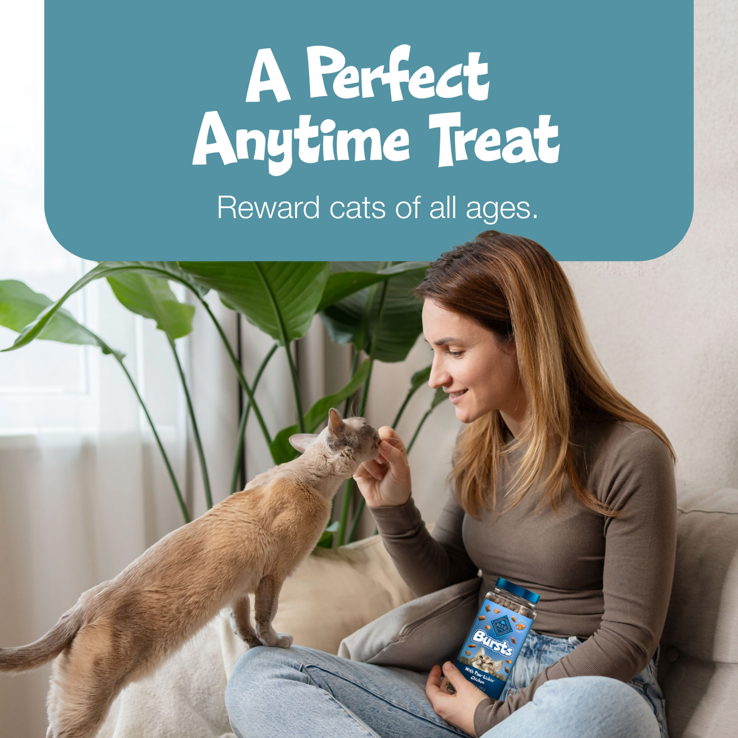 slide 4 of 8, Blue Buffalo Bursts Crunchy Cat Treats, Seafood 2-oz Bag, 2 oz