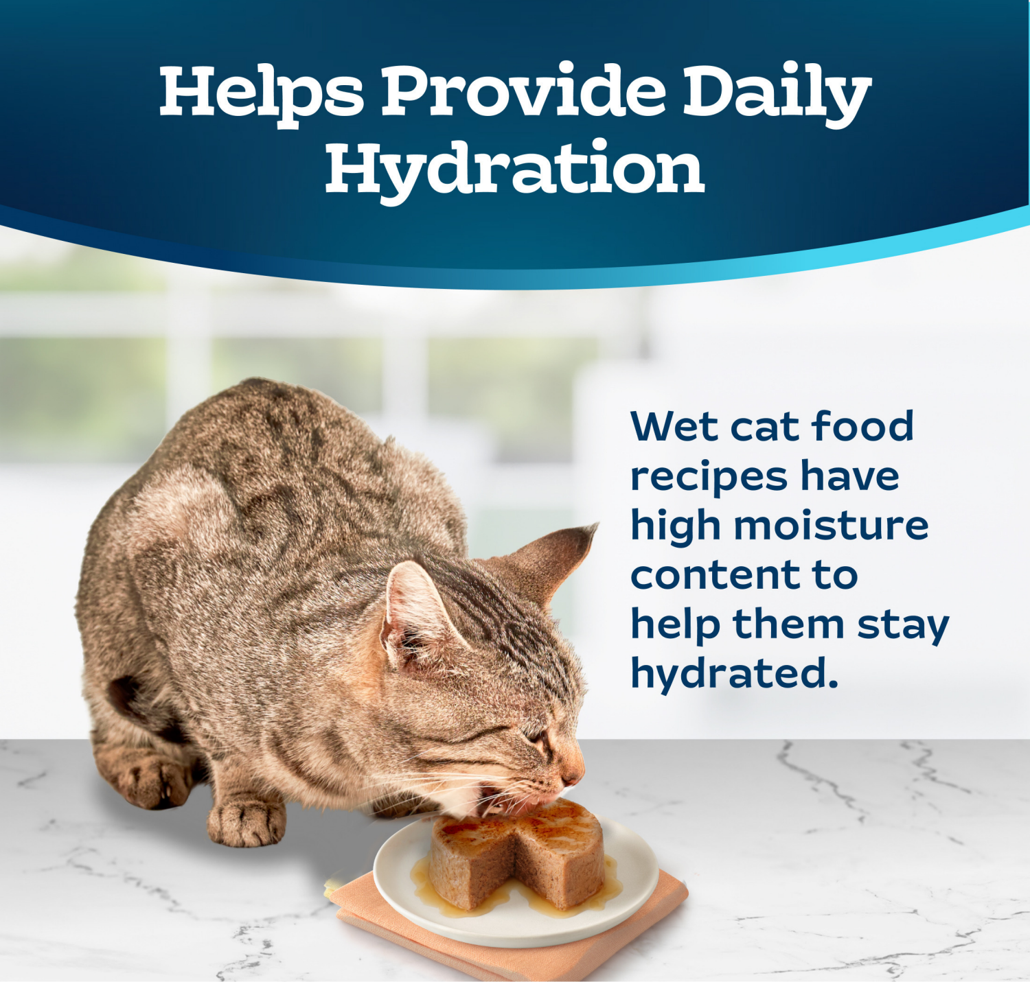 slide 5 of 8, Blue Buffalo Tastefuls Chicken Mtre, 3 oz