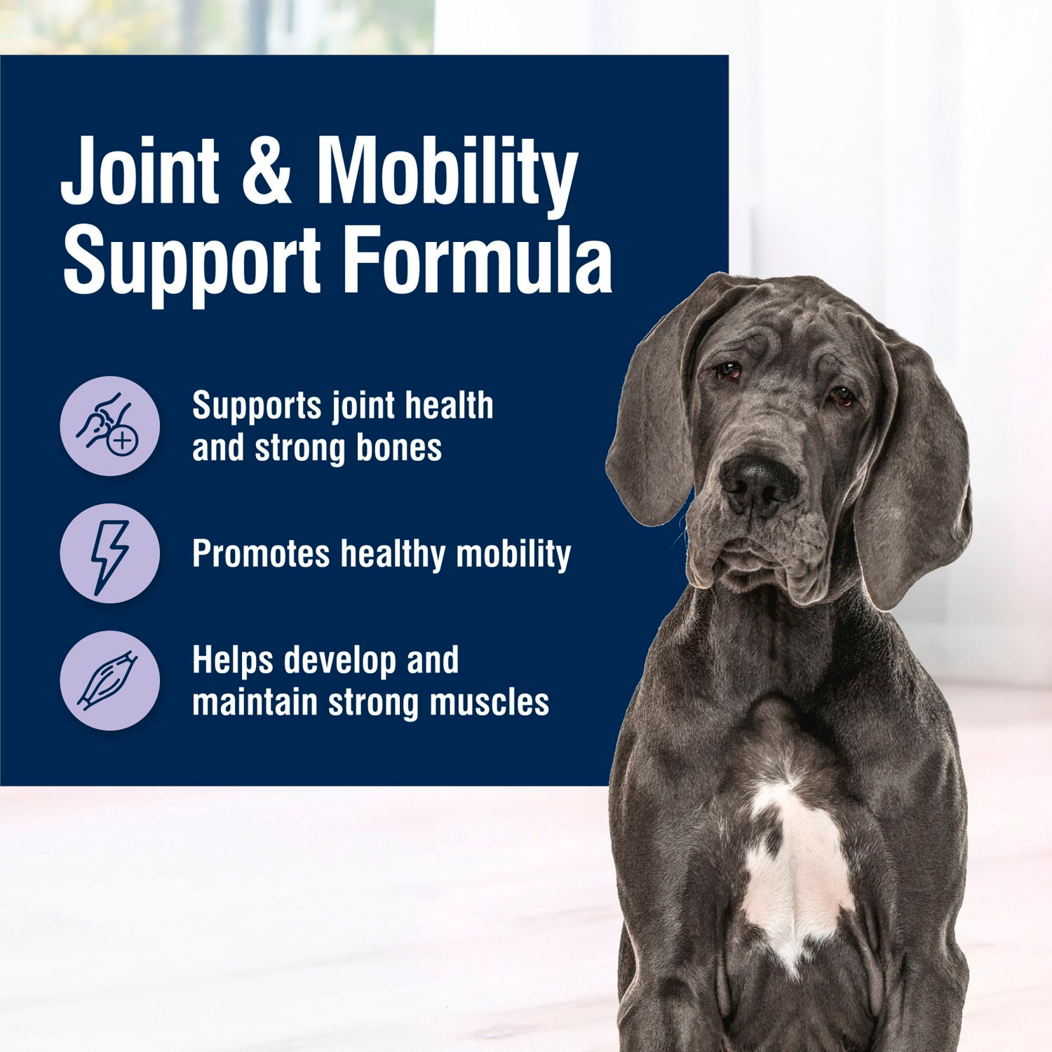 slide 4 of 8, Blue Buffalo True Solutions Jolly Joints Mobility Support Formula Dog Food, 20 lb