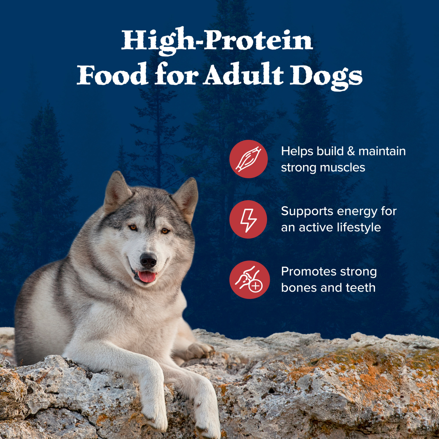 slide 4 of 8, Blue Buffalo Wilderness Rocky Mountain High-Protein Adult Dry Dog Food Wholesome Grains Red Meat, 24-lb. Bag, 24 lb
