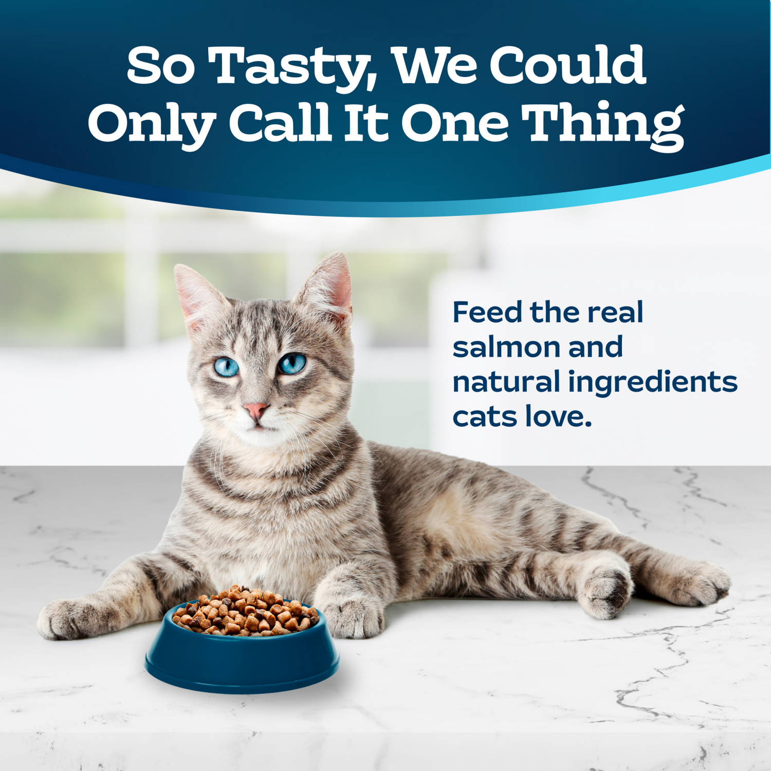 slide 7 of 8, BLUE TASTEFULS Blue Buffalo Tastefuls Indoor Natural Adult Dry Cat Food, Salmon & Brown Rice 10lb bag, 10 lb