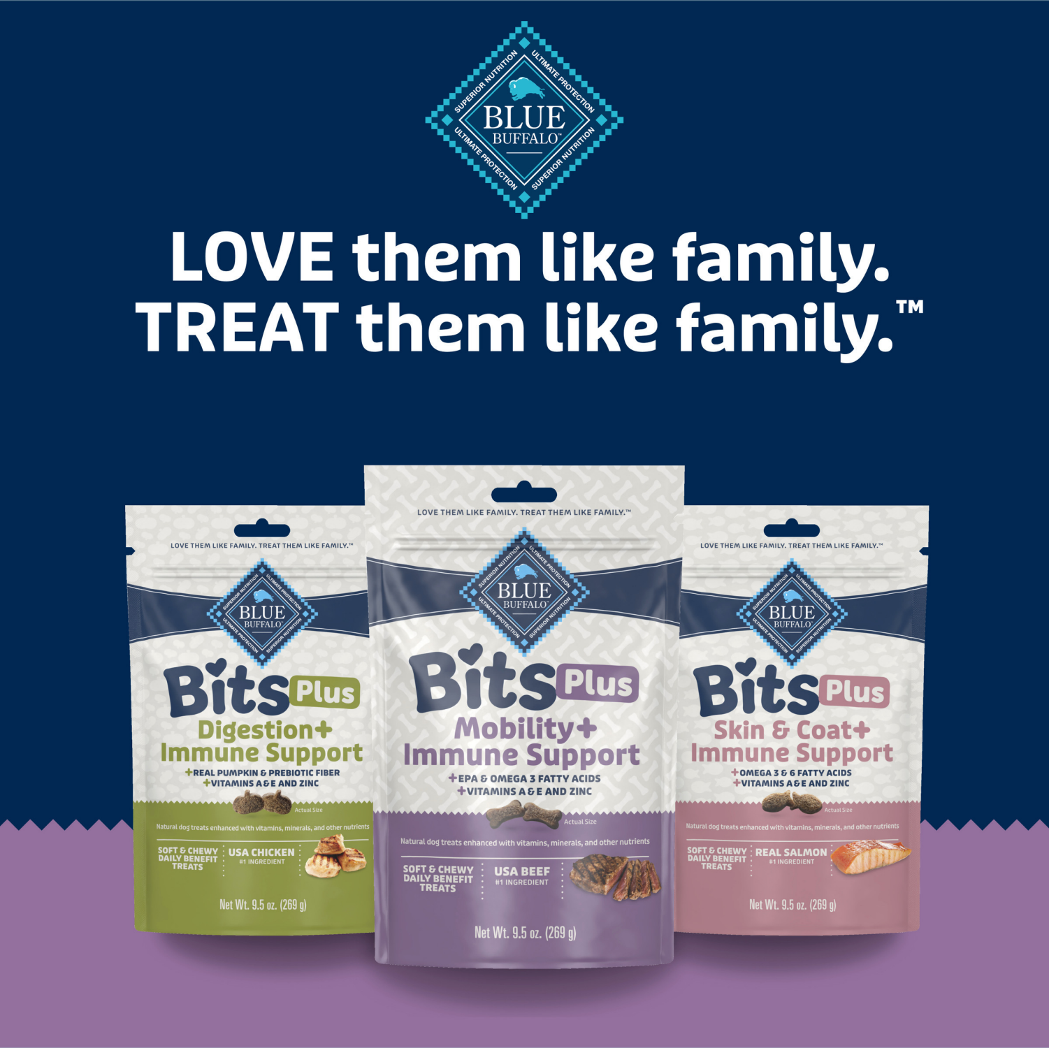 slide 5 of 8, Blue Buffalo Functional Bits Mobility and Immunity Beef Flavor Crunchy Dog Treats - 9.5oz, 9.5 oz