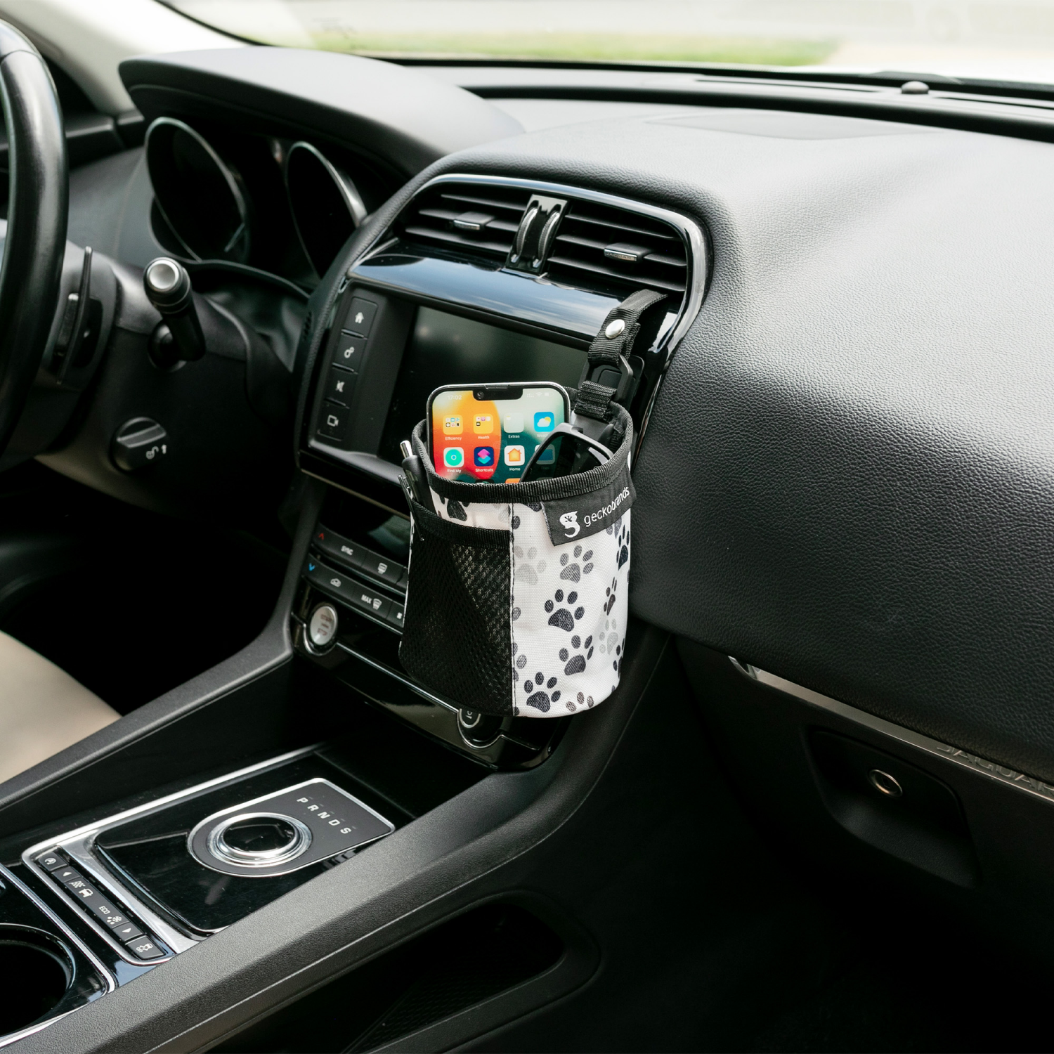 slide 4 of 4, Gecko Brands Paws Catch-all Bin, 1 ct