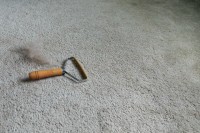 slide 7 of 17, Broxan Lint & Fur Remover, 1 ct