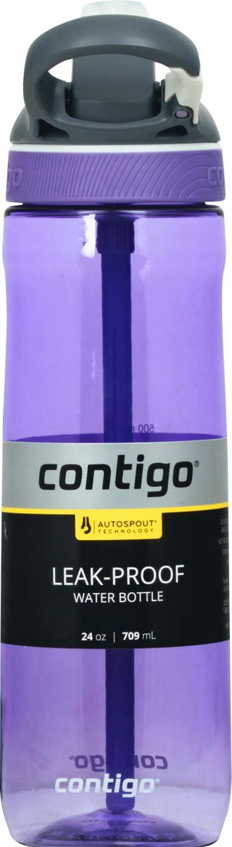  Contigo Autospout Straw Ashland Water Bottle, 24 Oz, Grapevine  : Sports & Outdoors