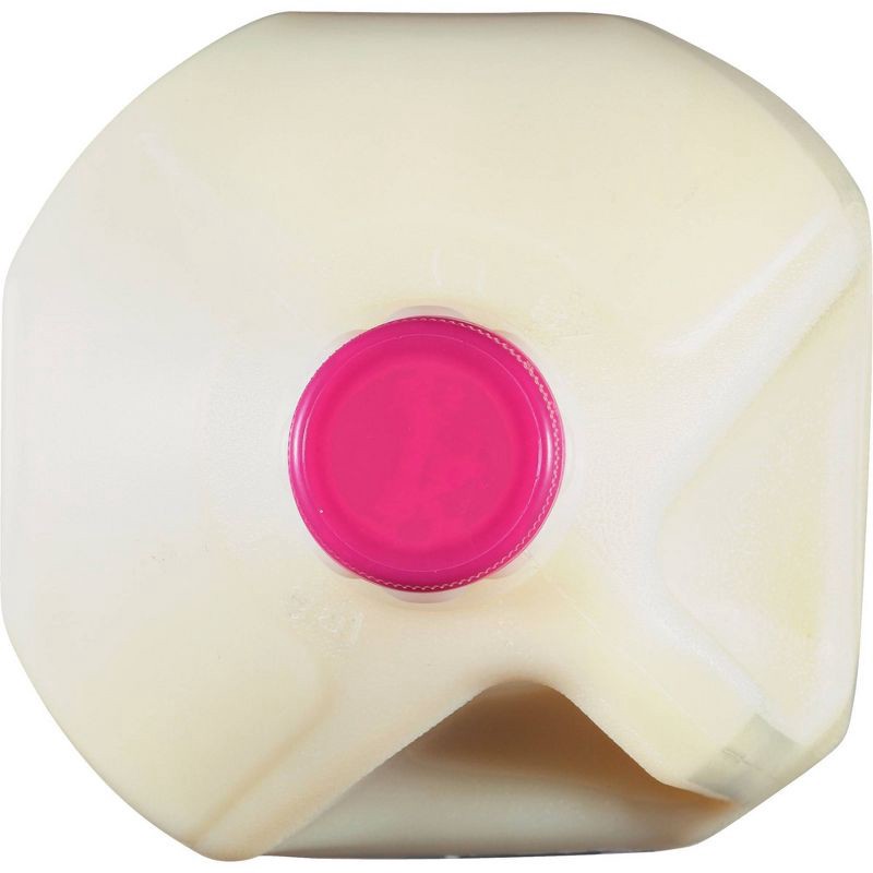 slide 8 of 8, Gandy's Skim Milk - 1gal, 1 gal