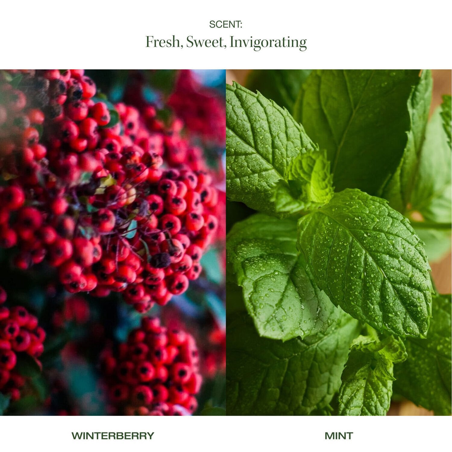 slide 2 of 6, Raw Sugar Sugar & Spice Body Bliss Kit, 1 ct