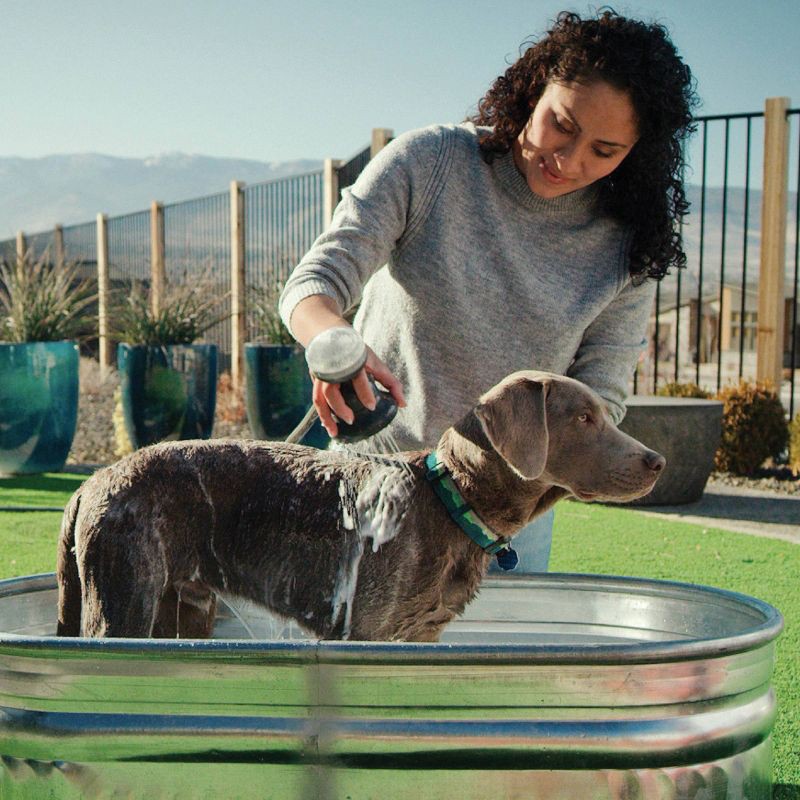 slide 4 of 11, PawSpa PetJetPro 11-Setting Handheld Oxygenics Pet Washer - Gray, 1 ct