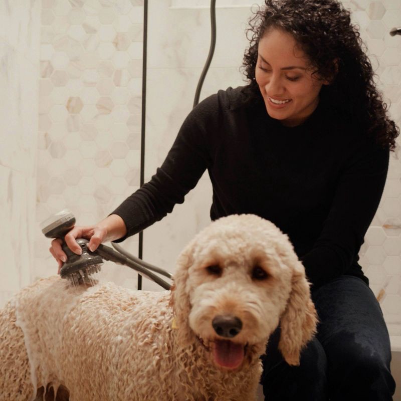 slide 6 of 11, PawSpa PetJetPro 11-Setting Handheld Oxygenics Pet Washer - Gray, 1 ct