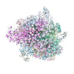 BLOOMS by H-E-B Baby's Breath Watercolor Gypsophila