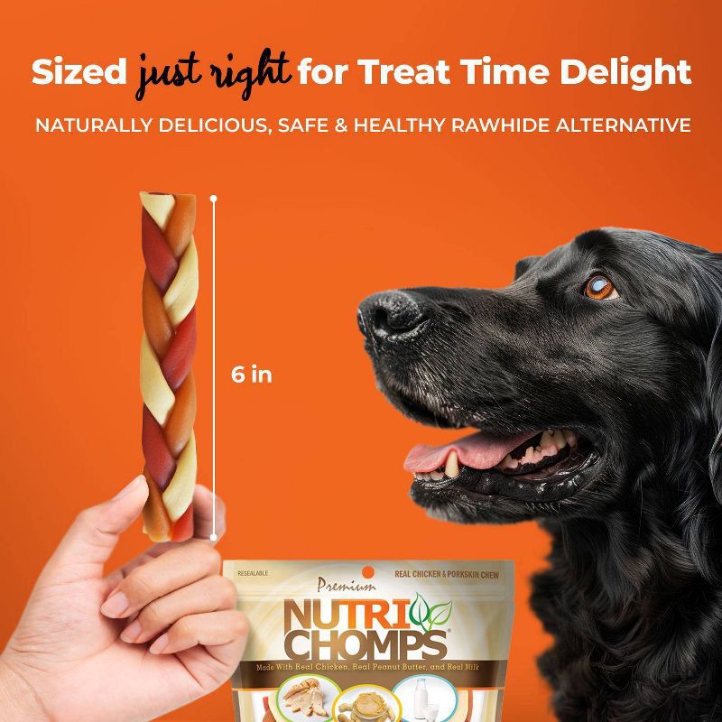 slide 6 of 7, Nutri Chomps Dog Chews Mixed Flavor Braid Chicken, Peanut Butter and Milk Dog Treats - 4.11oz/10ct, 4.11 oz, 10 ct
