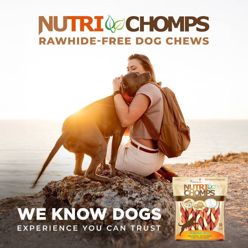 slide 7 of 7, Nutri Chomps Dog Chews Mixed Flavor Braid Chicken, Peanut Butter and Milk Dog Treats - 4.11oz/10ct, 4.11 oz, 10 ct