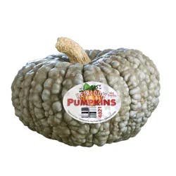 Heirloom Pumpkin - Each