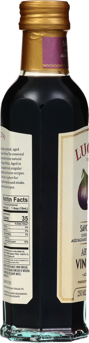 slide 5 of 9, Lucini Italia Savory Fig Artisan Vinegar 8.5 fl oz, 8.5 fl oz