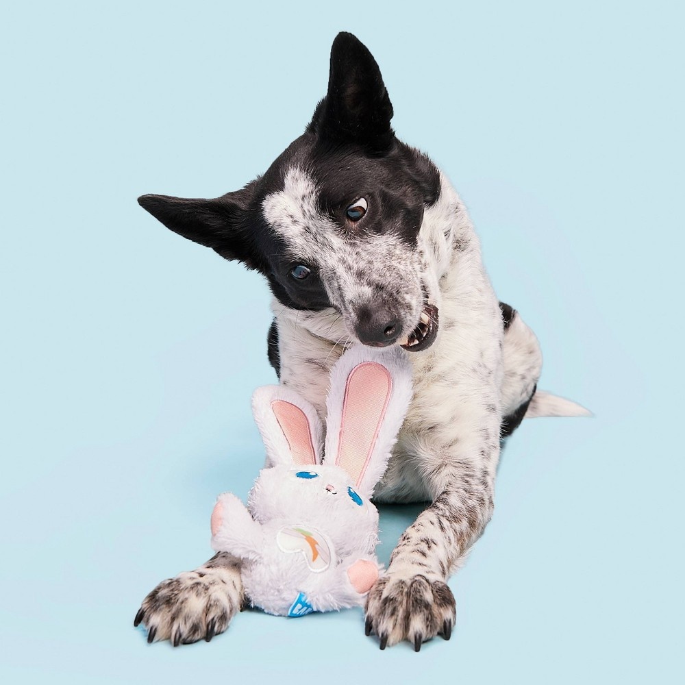 slide 3 of 5, BARK Floppy Flopsy Bunny Dog Toy, 1 ct