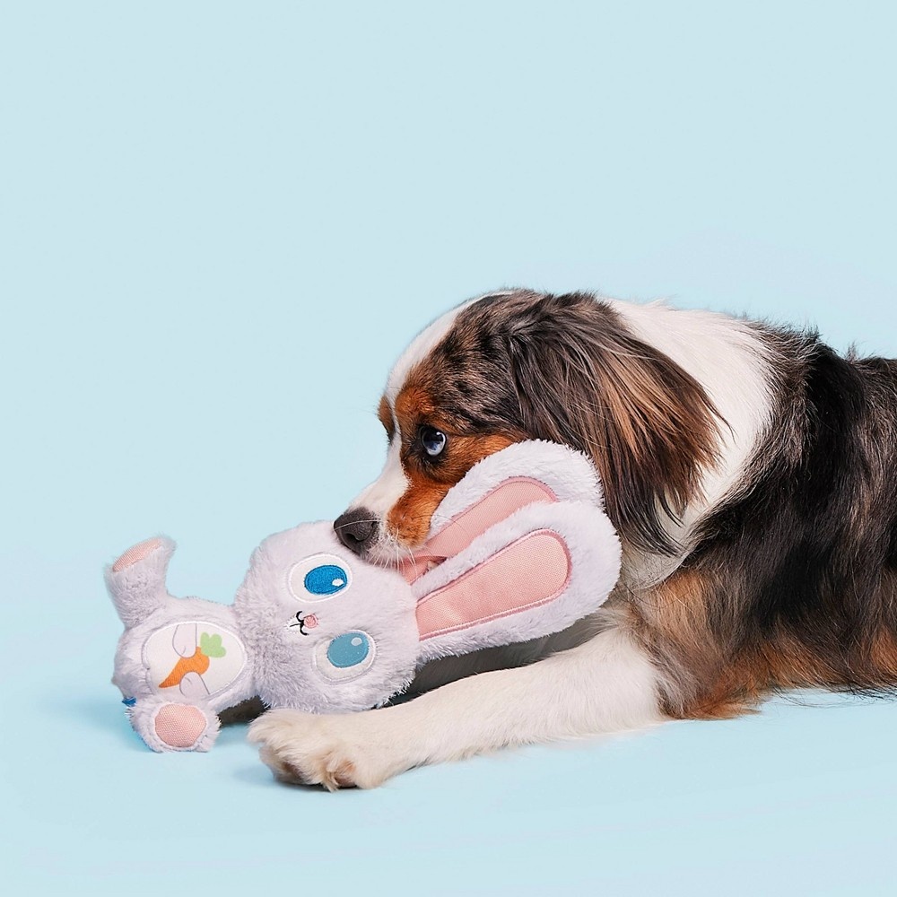 slide 4 of 5, BARK Floppy Flopsy Bunny Dog Toy, 1 ct