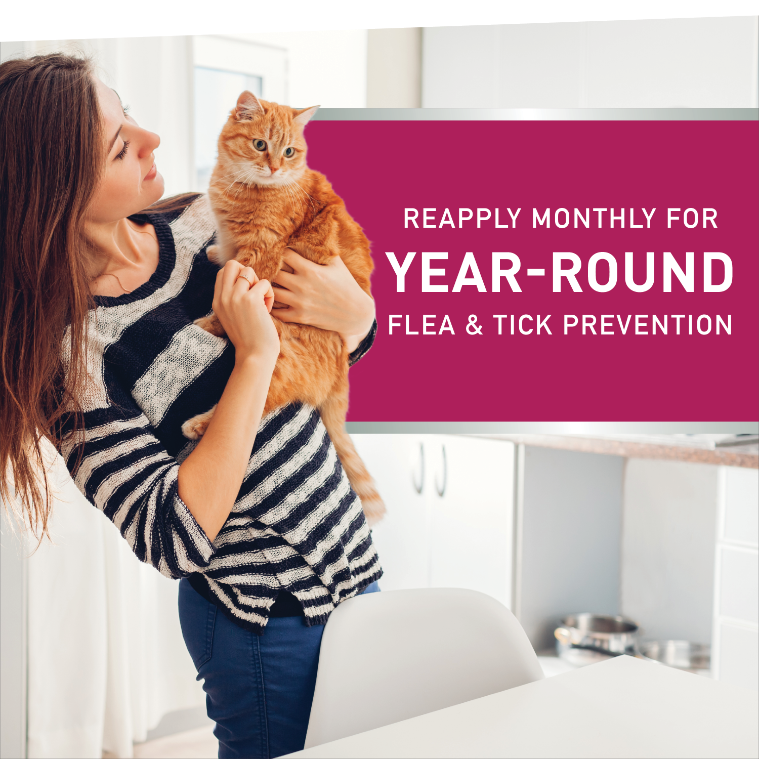 slide 5 of 5, Nextstar F&T SO Cat 3CT, 3 ct