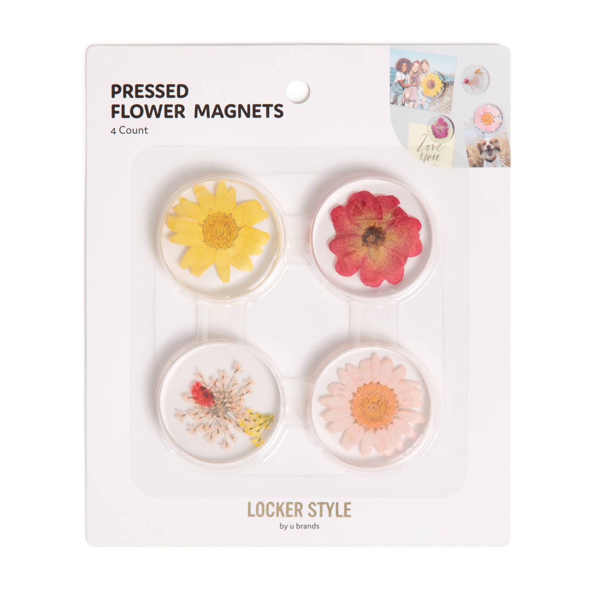 slide 1 of 3, 4pk Pressed Flower Locker Magnets Regency - U Brands, 4 ct