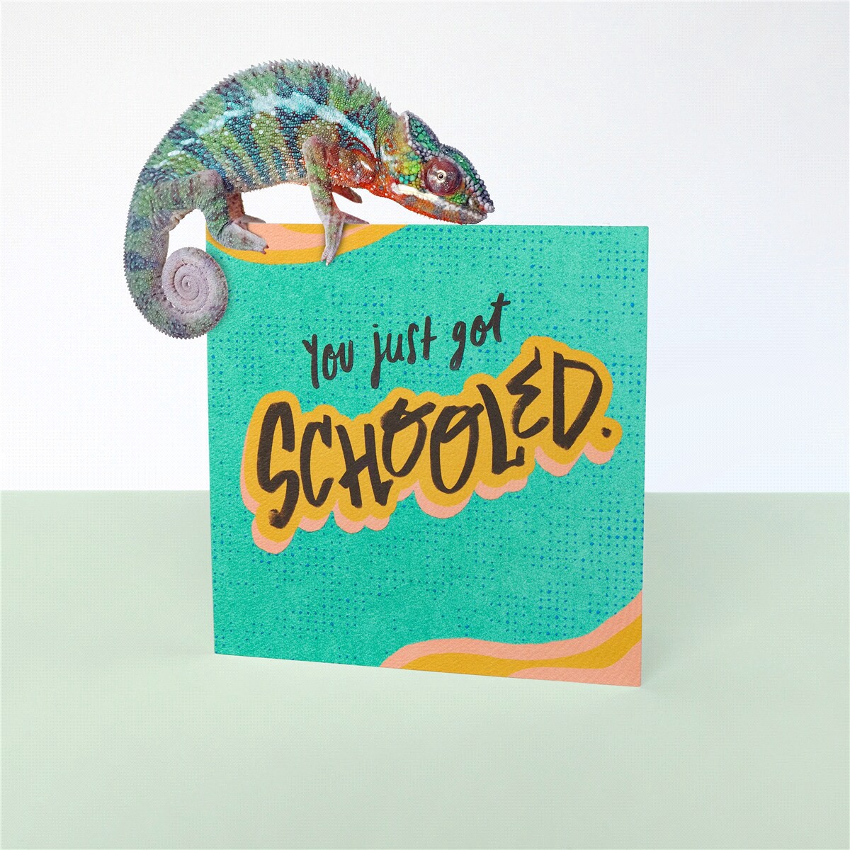 slide 15 of 21, American Greetings Schooled Graduation Greeting Card, 1 ct