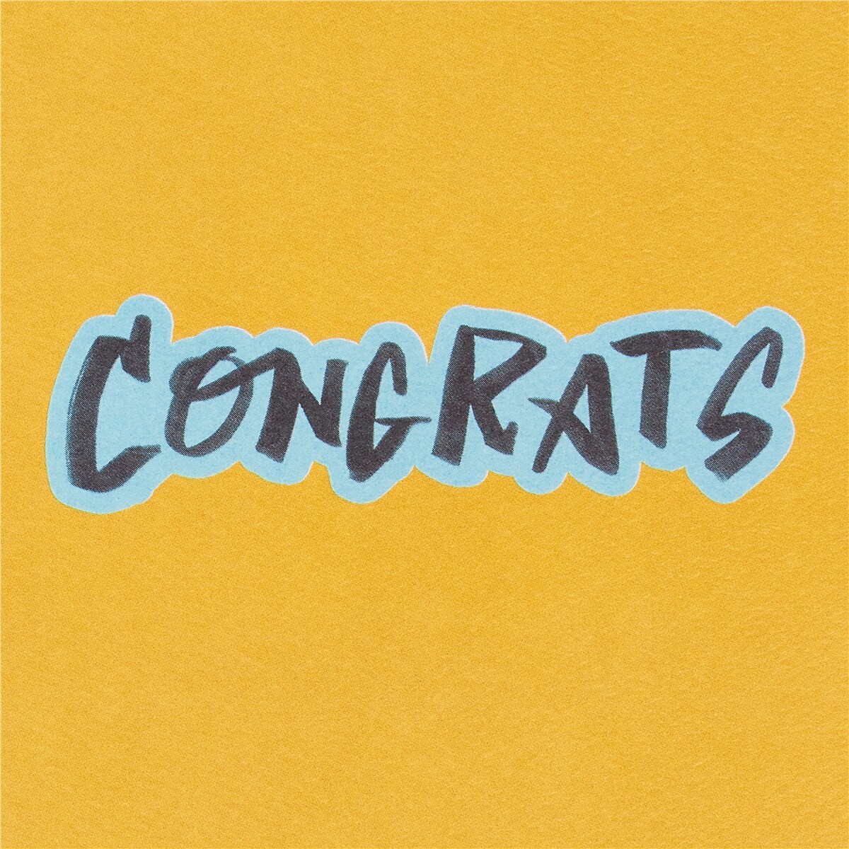 slide 20 of 21, American Greetings Schooled Graduation Greeting Card, 1 ct
