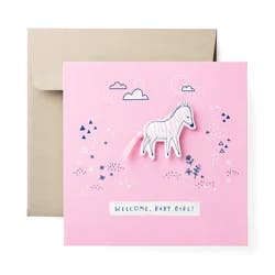 American Greetings Zebra Baby Girl Greeting Card