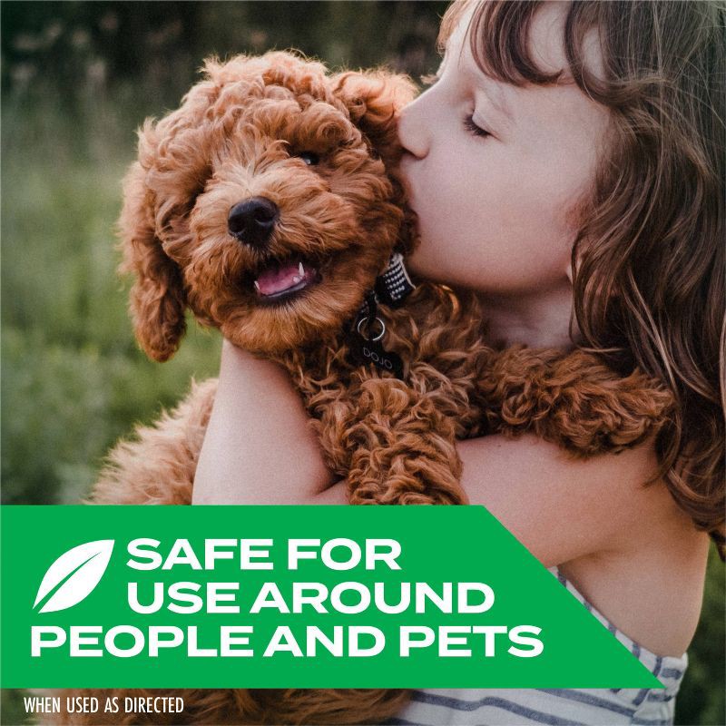 slide 5 of 12, STEM Ant Roach & Fly Killer Trigger Pump Spray Insecticide - 12oz: Indoor Outdoor Bug Control, Non-Flushing Formula, 12 oz