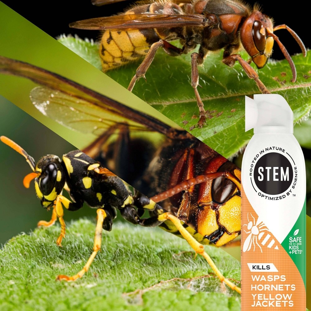 slide 2 of 13, STEM Wasp and Hornet Killer Aerosol - 10oz, 10 oz