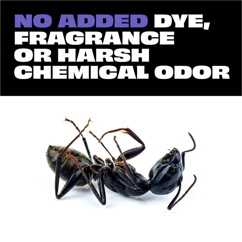 slide 3 of 11, STEM Ant-Roach-Spider Indoor Insect Killer Bug Spray - 10oz, 10 oz