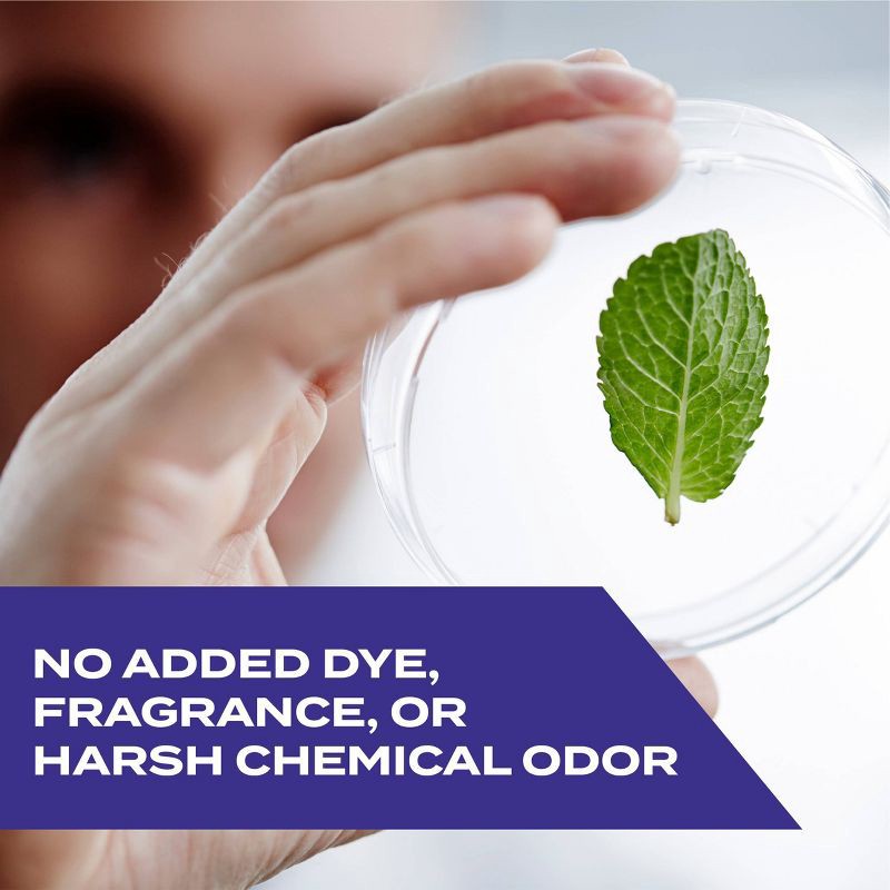 slide 5 of 11, STEM Ant-Roach-Spider Indoor Insect Killer Bug Spray - 10oz, 10 oz