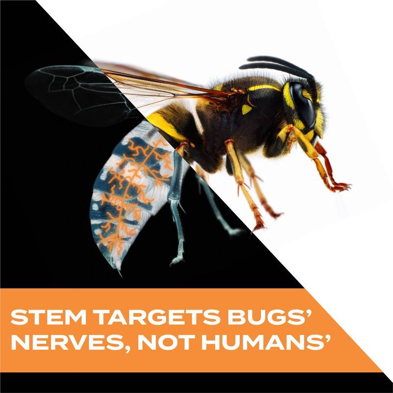 slide 3 of 17, STEM Wasp & Hornet Aerosol - 10oz, 10 oz