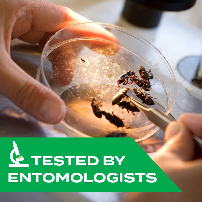 slide 2 of 17, STEM Wasp & Hornet Aerosol - 10oz, 10 oz