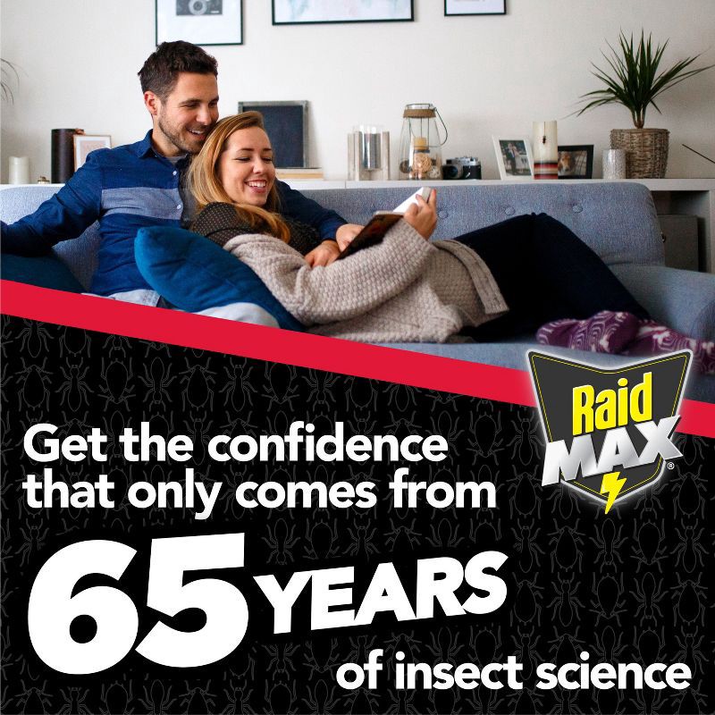 slide 7 of 13, Raid Max Liquid Indoor Ant Traps - 4ct, 4 ct