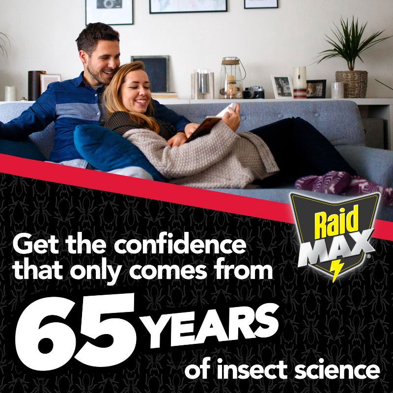 slide 7 of 13, Raid Max Liquid Ant Bait Indoor Ant Trap - 4ct, 4 ct