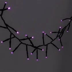 60ct LED Dewdrop Halloween Fairy String Lights Garland Purple - Hyde and EEK! Boutique™