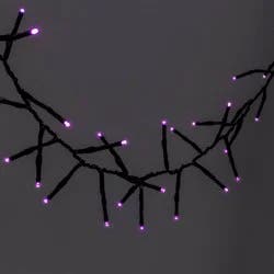 60ct LED Dewdrop Halloween Fairy String Lights Garland Purple - Hyde and EEK! Boutique™