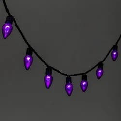 20ct LED Halloween String Lights Purple Flicker - Hyde & EEK! Boutique™